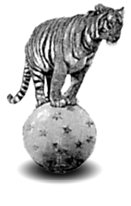 tiger ball